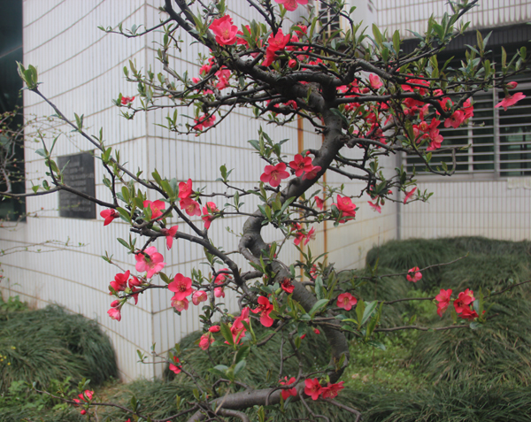 照片 0043.jpg